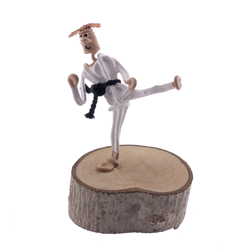 Karate chico