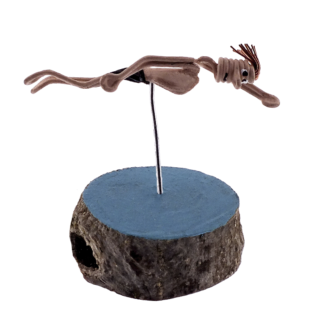 Natación chico