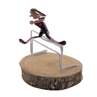Salto de valla chica