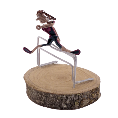 Salto de valla chica