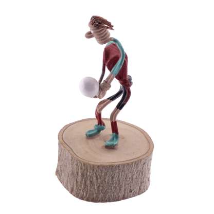Voleibol chico