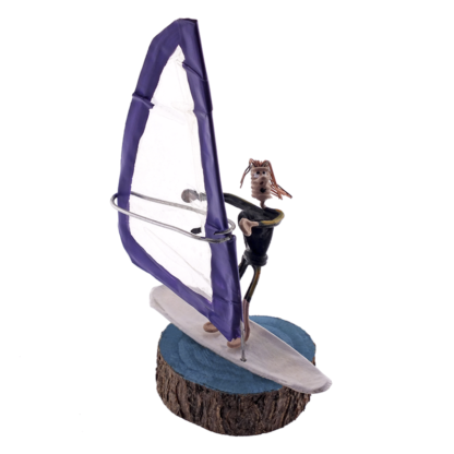 Windsurf chica