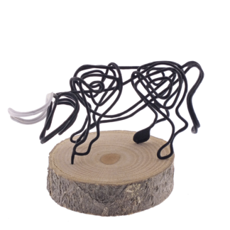 Toro