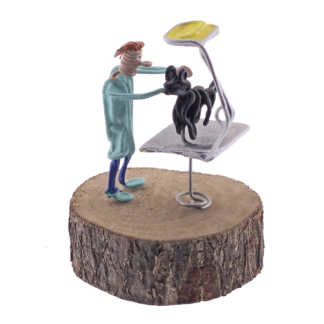Veterinario